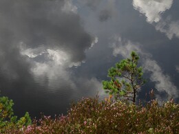 ���������, 31 ������� 2015