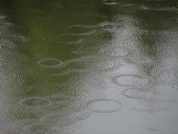 ���������, 31 ������� 2015