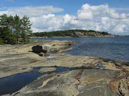 ������������� ����, ���������, 5 �������� 2015