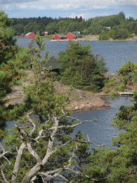 ������������� ����, ���������, 5 �������� 2015