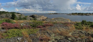 ������������� ����, ���������, 5 �������� 2015