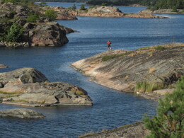 ������������� ����, ���������, 5 �������� 2015