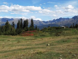 ��������, ������, 6 ������� 2015