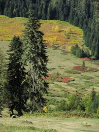 ��������, ������, 6 ������� 2015