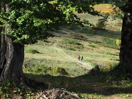 ��������, ������, 6 ������� 2015