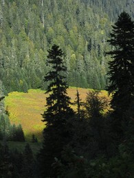 ��������, ������, 6 ������� 2015