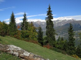 ��������, ������, 11 ������� 2015