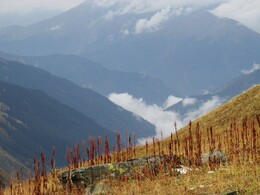 ��������, ������, 13 ������� 2015