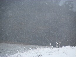 ��������, ������, 14 ������� 2015