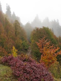 ��������, ������, 14 ������� 2015