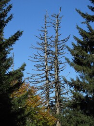 �������, ������, 17 ������� 2015