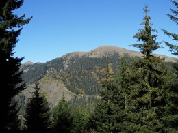 �������, ������, 17 ������� 2015