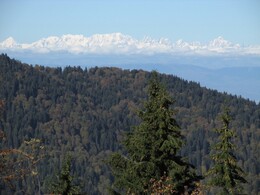 ��� �� ������� ���������� ������, �������, ������, 17 ������� 2015