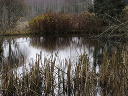 ���������, 7 ������ 2015