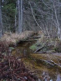 ���������, 7 ������ 2015