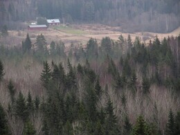 ���������, 7 ������ 2015