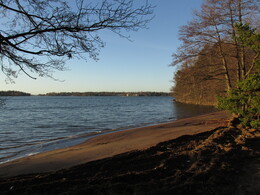 �����, ���������, 8 ������� 2015