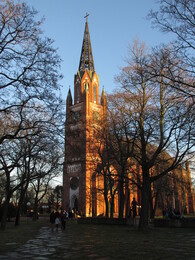 ����� ����, ���������, 24 ������� 2015