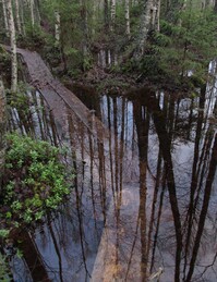 ���������, 25 ������� 2015