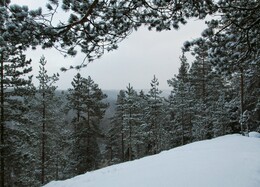 ���������, 31 ������� 2015