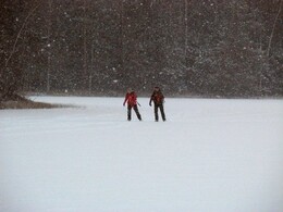 ���������, 31 ������� 2015