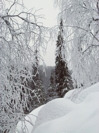 ������ Korouoma, ���������, 8 ������ 2016