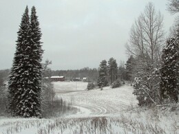 ���������, 19 ������ 2016