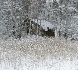 ���������, 19 ������ 2016