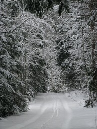 ���������, 25 ������ 2016