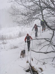 �����������, 6 ������� 2016