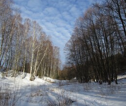 �����������, 7 ������� 2016