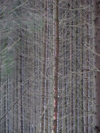 �����������, 13 ������� 2016