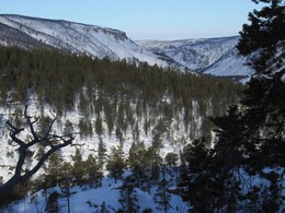 ������ ���� Reisa, �������� ��������, 9 ����� 2016