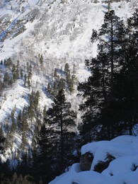 ������ ���� Reisa, �������� ��������, 9 ����� 2016