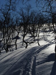 ������ ���� Reisa, �������� ��������, 10 ����� 2016