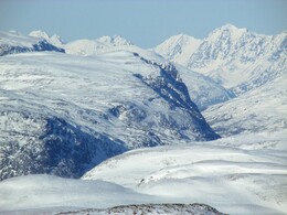 �������� ��������, ��� � ���� Halti �� ������� � ����������, 10 ����� 2016