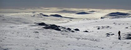 � ������ ���� Halti, �� ������� ��������� � ��������, 11 ����� 2016