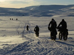 �������� ���������, 11 ����� 2016