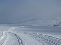 ���� � ������ ����ӣ, �������� ��������, 20 ����� 2016