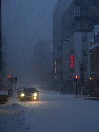 ����� ����ӣ, �������� ��������, 23 ����� 2016