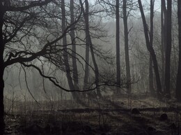 �����������, 17 ������ 2016