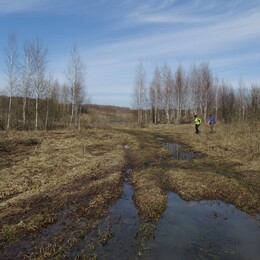 �����������, 17 ������ 2016