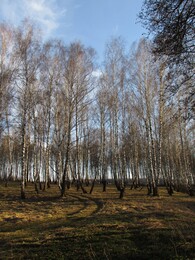 �����������, 17 ������ 2016