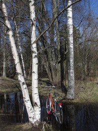 ���������, 27 ������ 2016