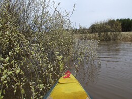 ����� �� ���� �����, ���������, 30 ������ 2016