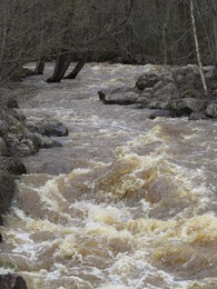 ���� �����, ���������, 30 ������ 2016