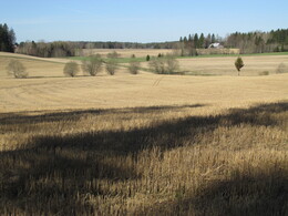 ���������, 7 ��� 2016