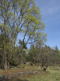 ���������, 7 ��� 2016