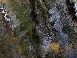 ���������, 7 ��� 2016