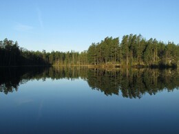 ���������, 8 ��� 2016